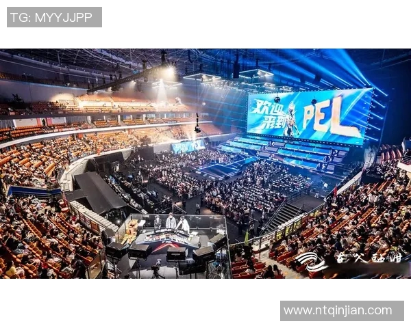 2026电竞新闻和平精英焦点WE战队当前状态分析与未来发展方向探讨